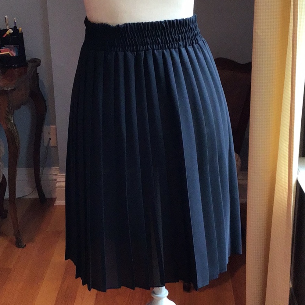 Sheer black pleated skirt